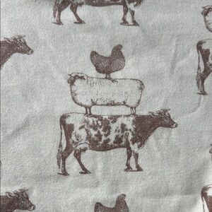 Kate Quinn Double Layered Blanket NWOT